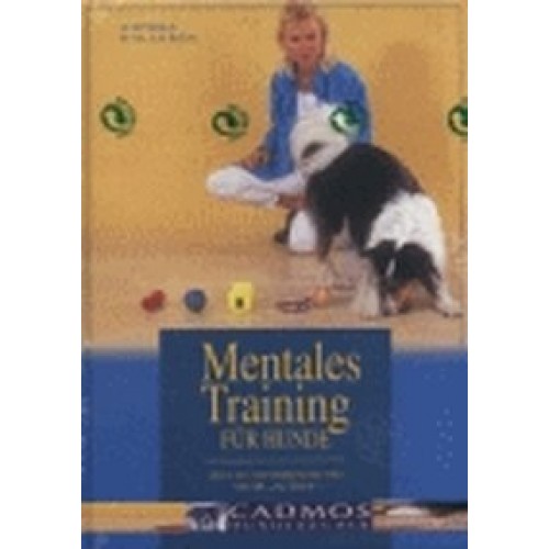 Mentales Training für Hunde