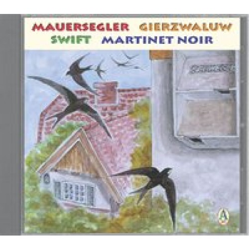 Mauersegler /Gierzwaluw /Swift /Martinet noir