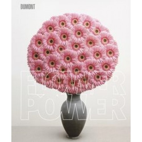 Flower Power: Blumen in der zeitgenössischen Fotografie [Gebundene Ausgabe] [2010] Matthias Harder