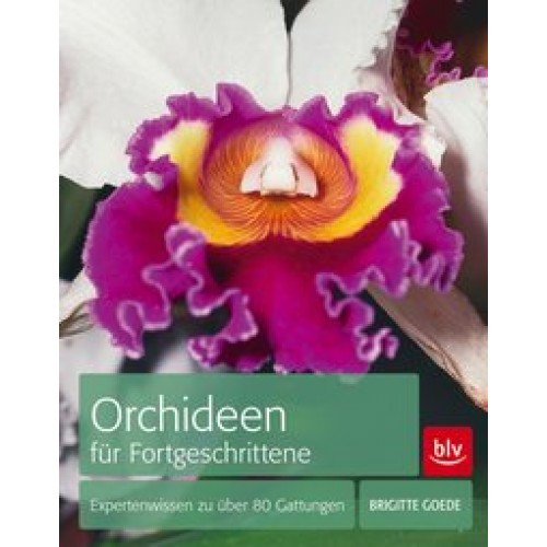 Orchideen für Fortgeschrittene: Expertenwissen zu über 80 Gattungen [Gebundene Ausgabe] [2013] Goede, Brigitte