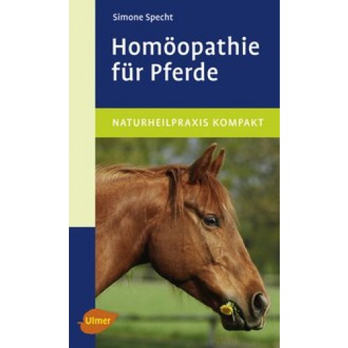 Homöopathie für Pferde