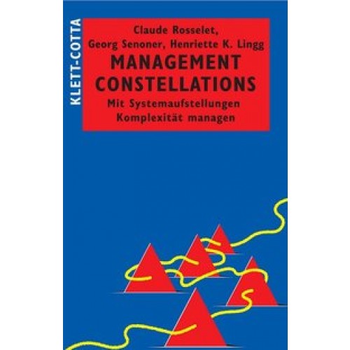Management Constellations