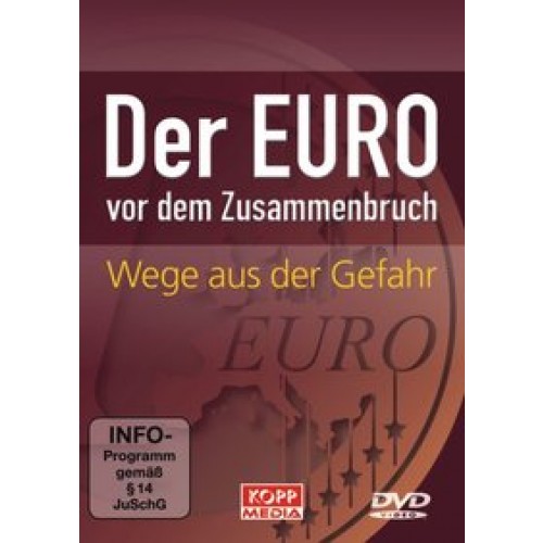 Der Euro vor dem Zusammenbruch- Wege aus der Gefahr