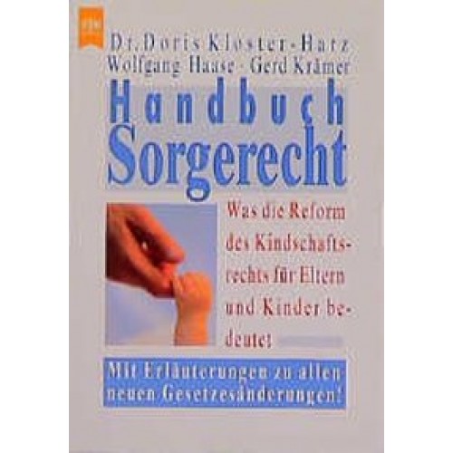 Handbuch Sorgerecht