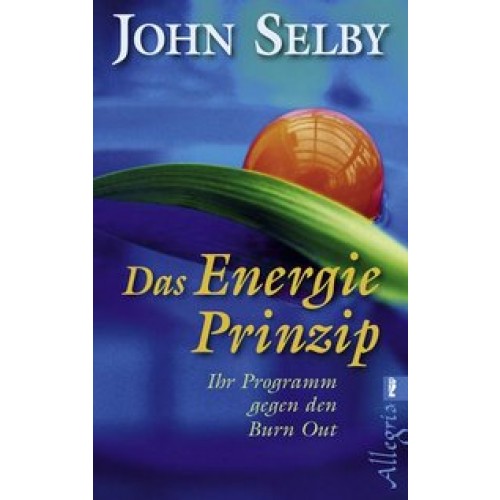 Das Energie-Prinzip