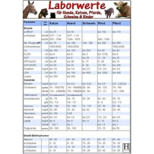 Laborwerte-Karte für Hunde, Katzen, Pferde, Schweine &amp  Rinder