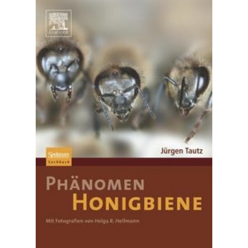 Phänomen Honigbiene