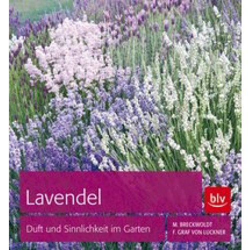Lavendel: Duft und Sinnlichkeit im Garten [Taschenbuch] [2012] Breckwoldt, Michael, von Luckner, Fer