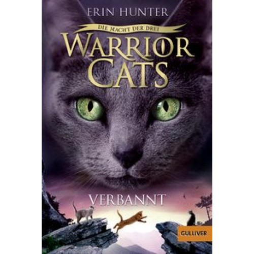 Warrior Cats - Die Macht der Drei. Verbannt: III, Band 3 [Taschenbuch] [2017] Hunter, Erin, Levin, F