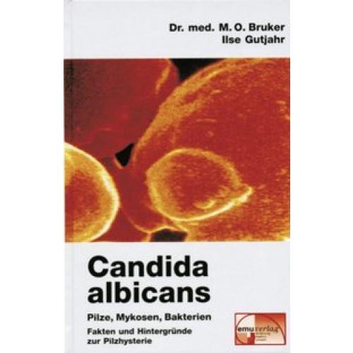 Candida albicans - Pilze Mykosen, Bakterien