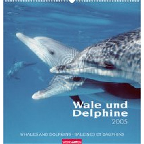 Wale und Delphine 2005