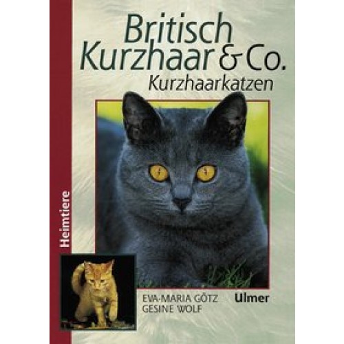 Britisch Kurzhaar & Co.