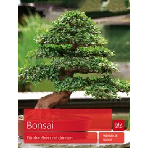 Bonsai: Für draußen und drinnen [Gebundene Ausgabe] [2013] Busch, Werner M.