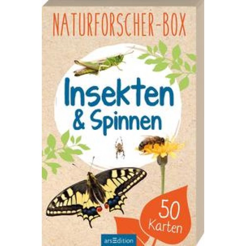 Naturforscher-Box - Insekten & Spinnen