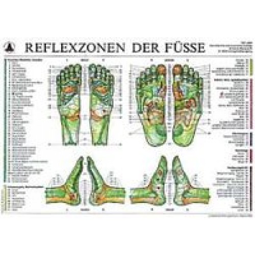 Reflexzonen der Füße (Wandtafel aus Pappe)