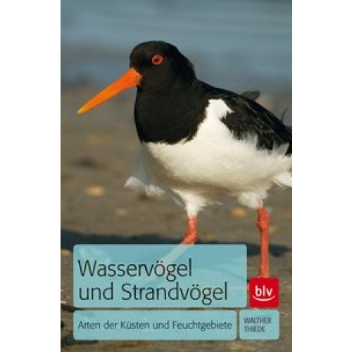 Wasservögel und Strandvögel: Arten der Küsten und Feuchtgebiete [Taschenbuch] [2012] Thiede, Walther