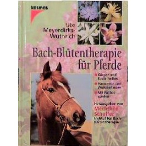 Bachblüten-Therapie für Pferde