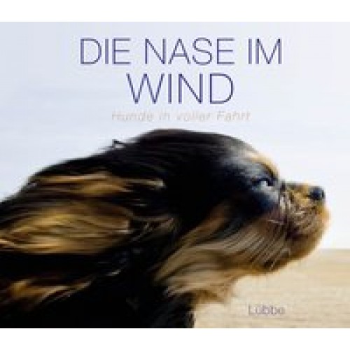 Die Nase im Wind: Hunde in voller Fahrt [Gebundene Ausgabe] [2015] usb bücherbüro