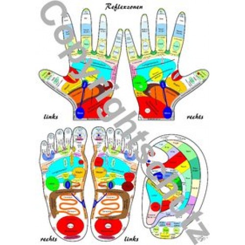 Reflexzonenübersicht - Füße, Hände und Ohr