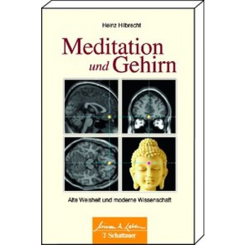 Meditation und Gehirn